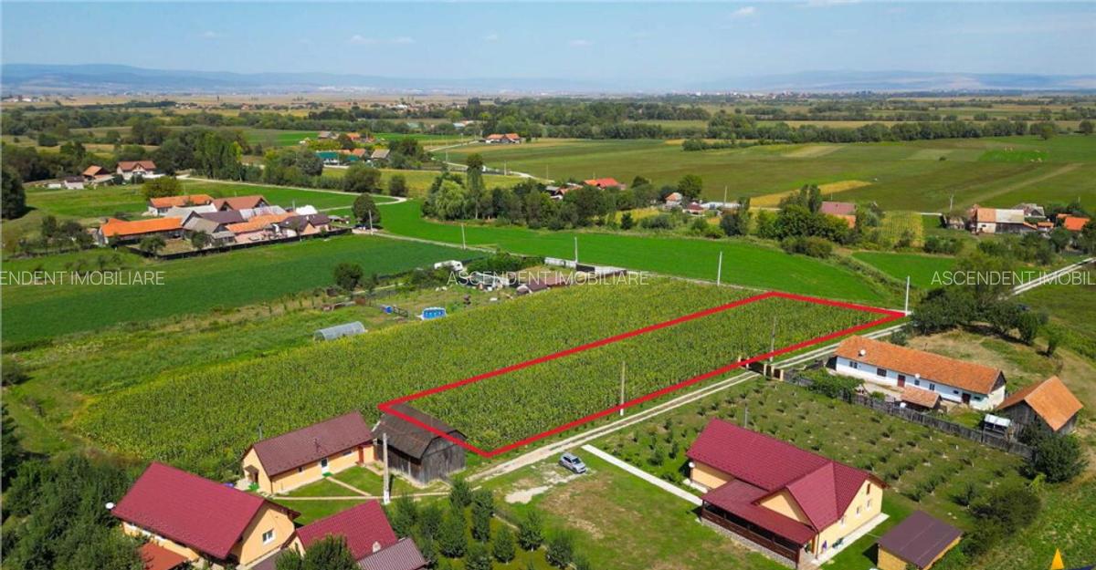 2.000mp intravilan, Bacel, zona linistita, intre Brasov si S - 6