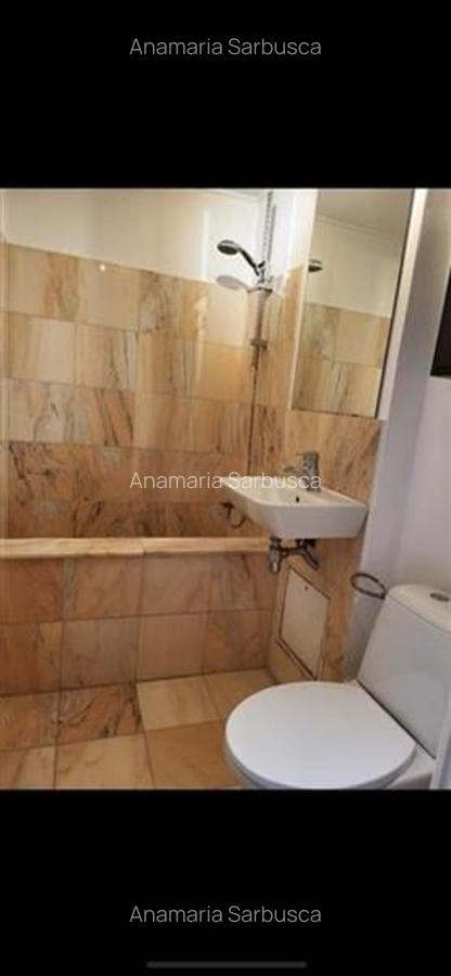 Apartament 2 camere Calea Victoriei, pet friendly - 4
