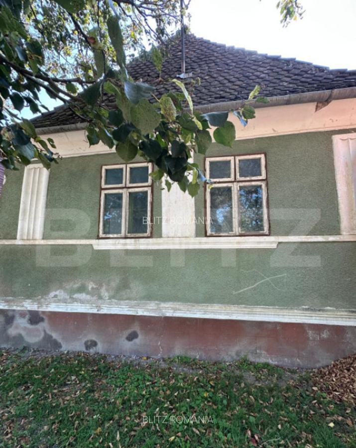 Casa saseasca de vanzare, curte, gradina, teren 3000 mp - Ji - 2
