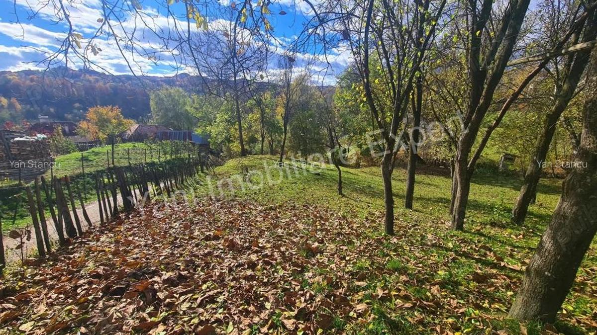 Teren de vanzare in comuna Arefu, jude? Arge?. - 10