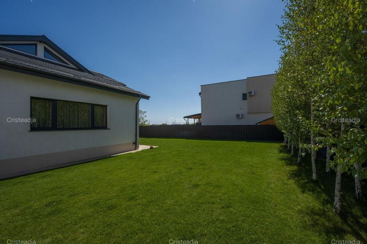 Casa cu Mesteceni!  Complex Lalelelor Domnești - 20