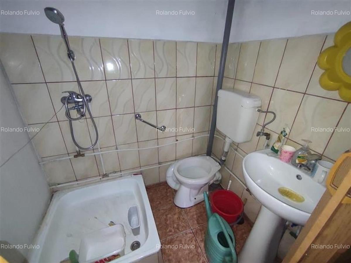 Vanzare casa batraneasca si teren, Colentina - 14