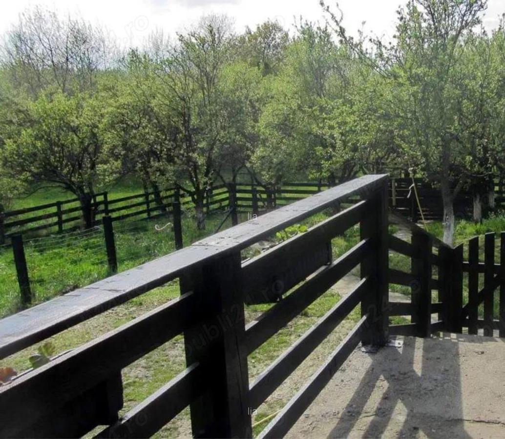 Casa de vanzare, Zona deosebita - 4