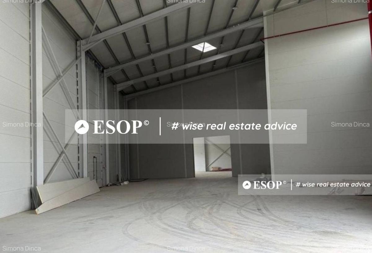 Hala de vanzare,  zona Mogosoaia, 1500mp, ID 15424, - 5