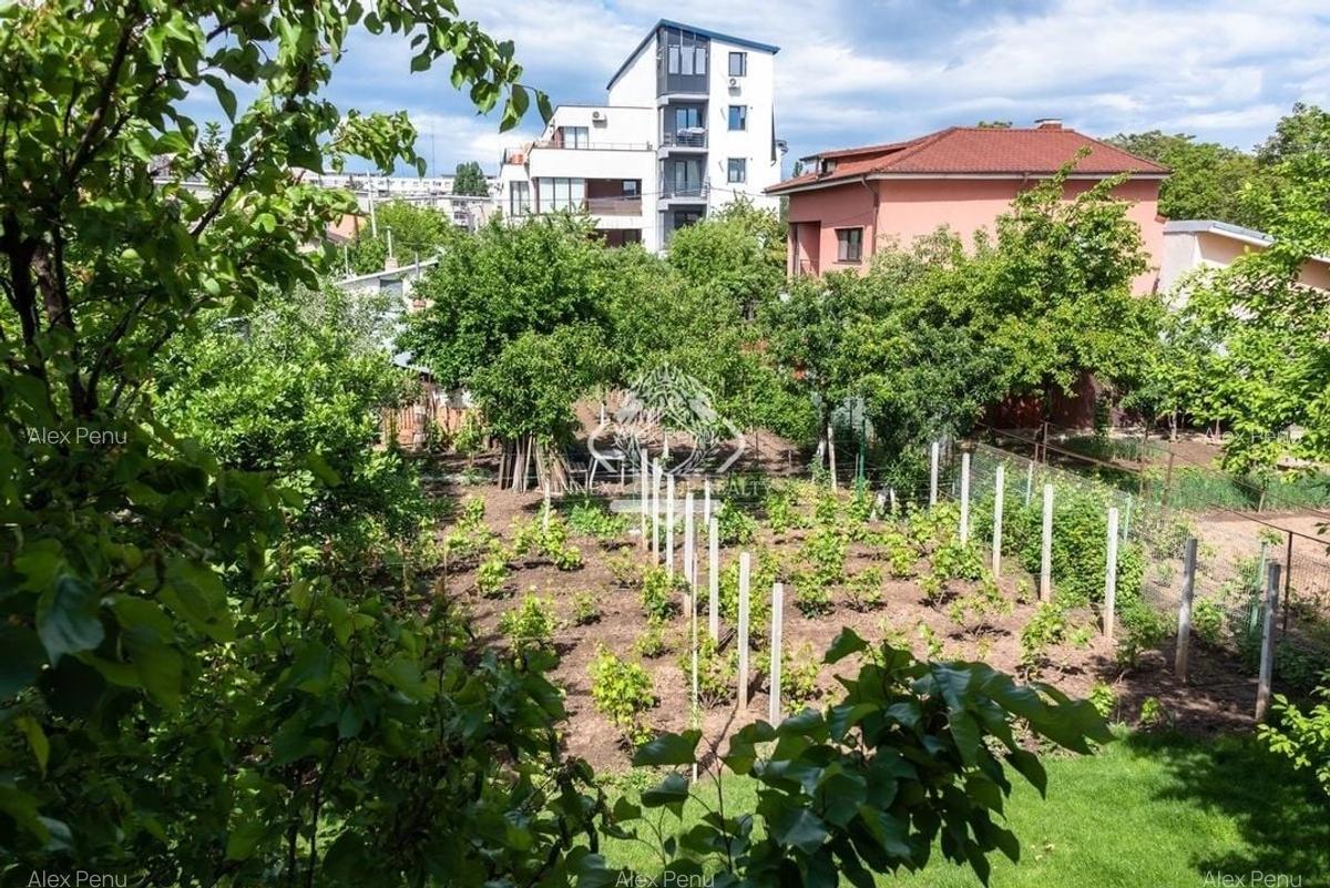 Casa P+1 + teren - posibilitate dezvoltare imobiliara I Drumul Taberei - 5