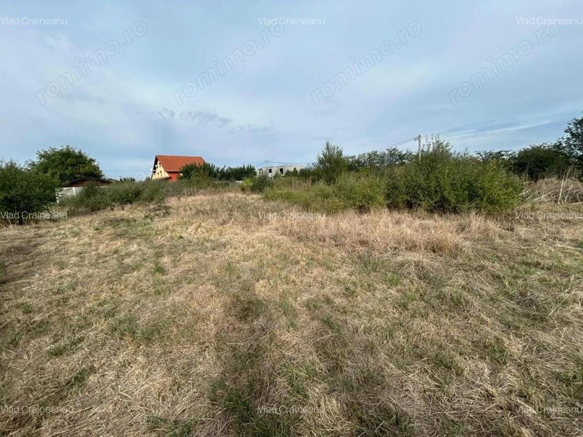 COMISION 0 | Teren intravilan | 945mp | Sacalaz Vest - 7