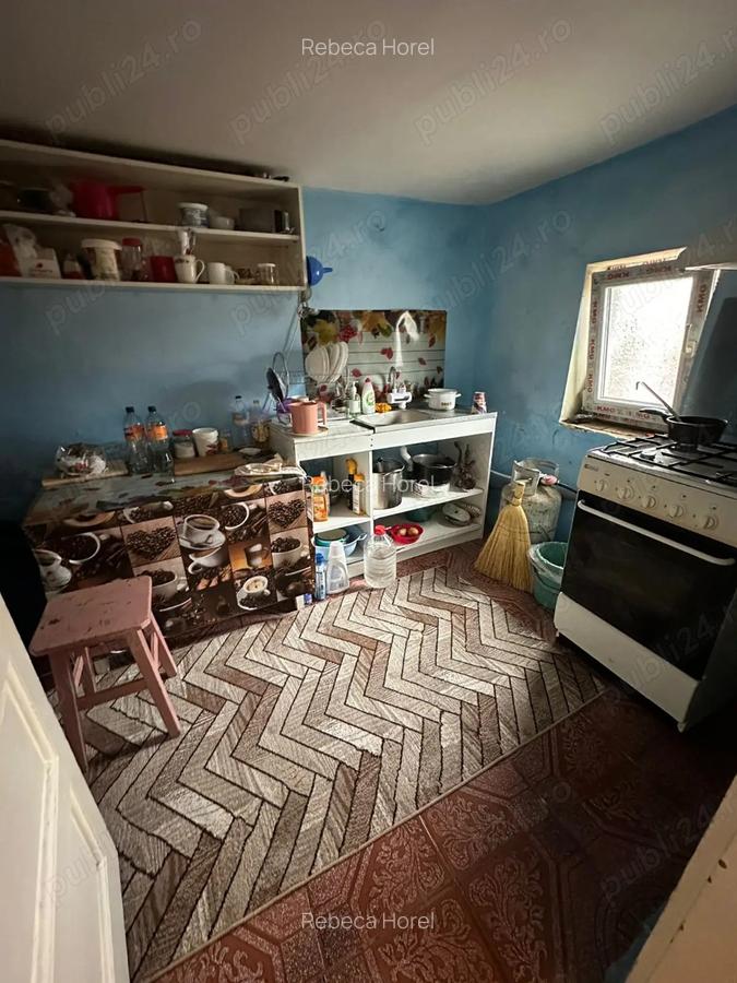 Casa de vanzare + teren in comuna Produlesti - 10