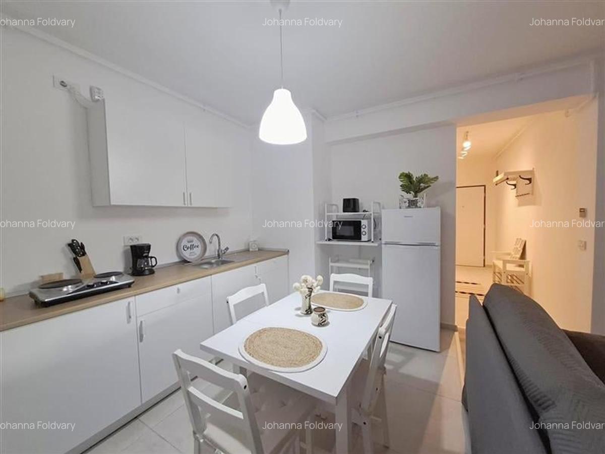 APARTAMENT 1 CAMERA MOBILAT UTILAT CITY OF MARA - 8