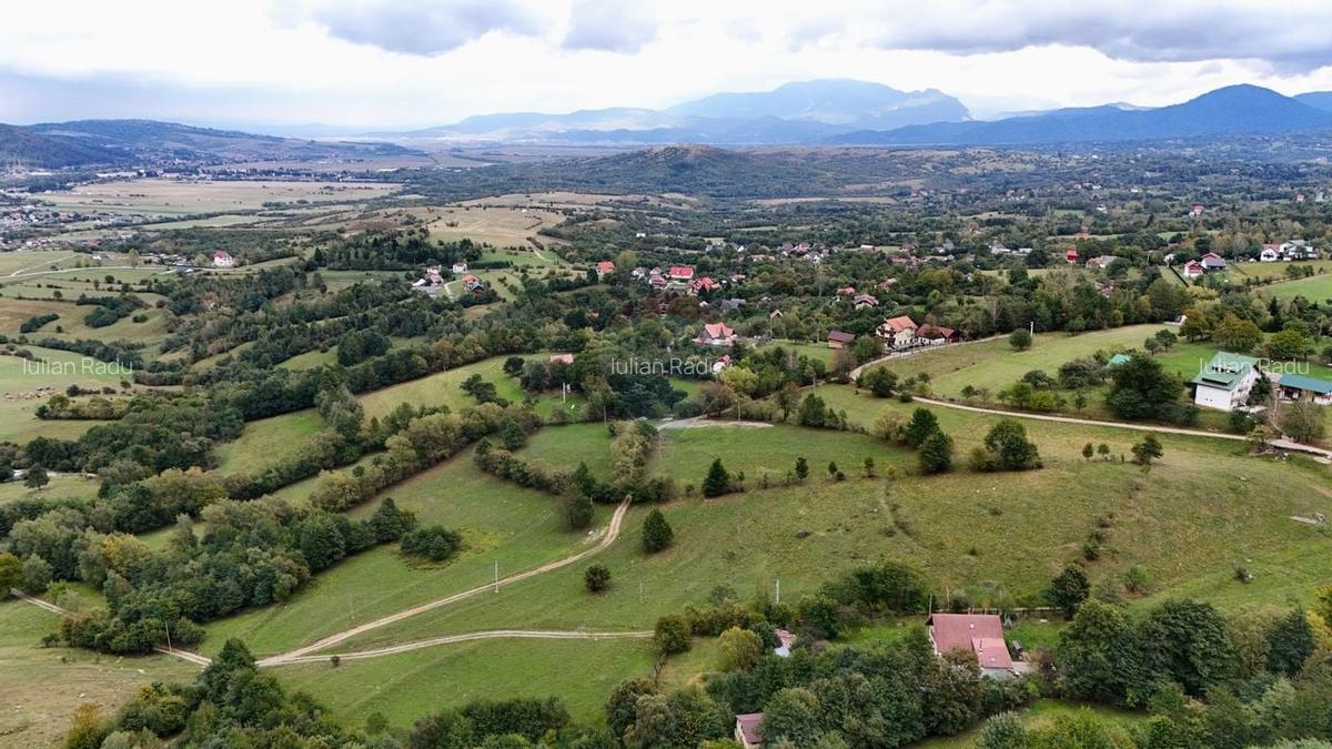 Comision 0% | Teren Intravilan | 4 x Parcele de 592 mp | Zarnesti - 4 Comision 0% | Teren Intravilan | 4 x Parcele de 592 mp | Zarnesti - 4