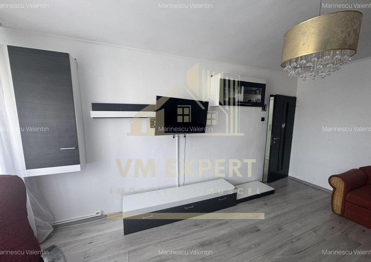 APARTAMENT 2 CAMERE ETAJ 4 CAMPULUNG GRUI - 12