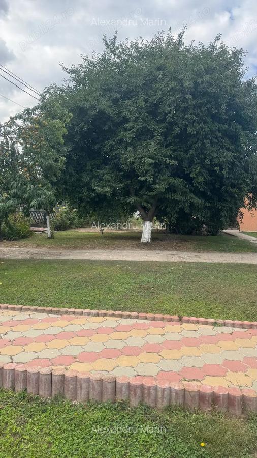 Casa cu pod mansardabil, 20 km de Delta Dunarii - 8