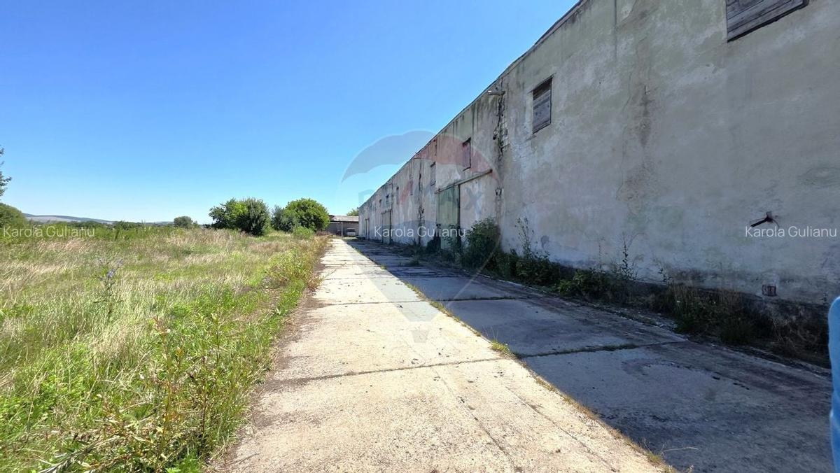 Vanzare hala industriala in Colonia Bod, judet Brasov - 2