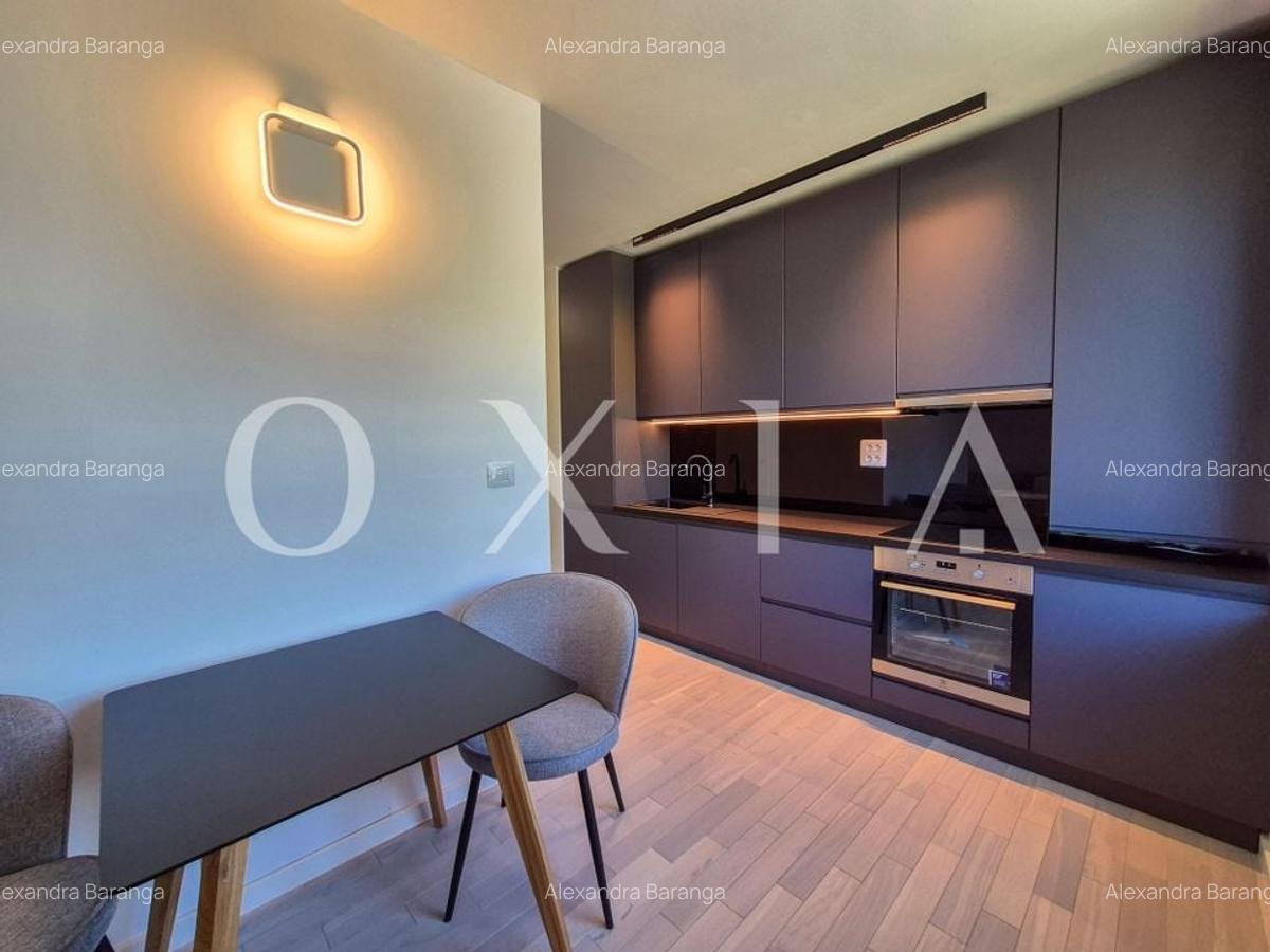 AX1068 Dumbravita, Bulevardul Petre Tutea, Prima Inchiriere - 12