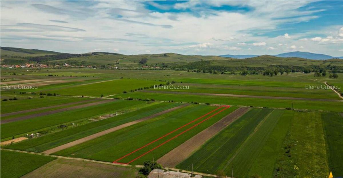 Aliniament de liniste, drum usor, 5.000 mp pamant verde, Bod - 6