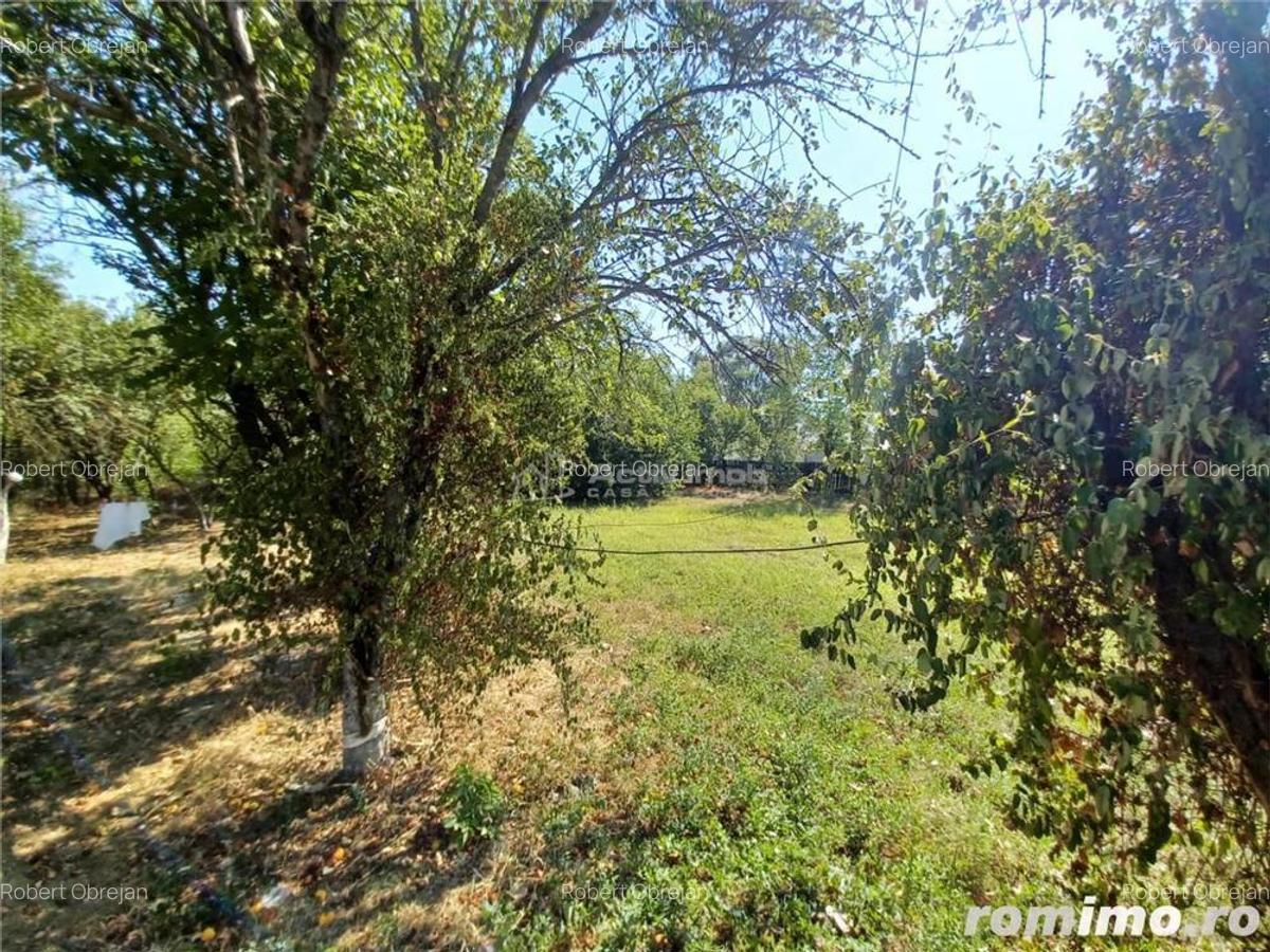 Casa Bila Ghimpati- Giurgiu - 9