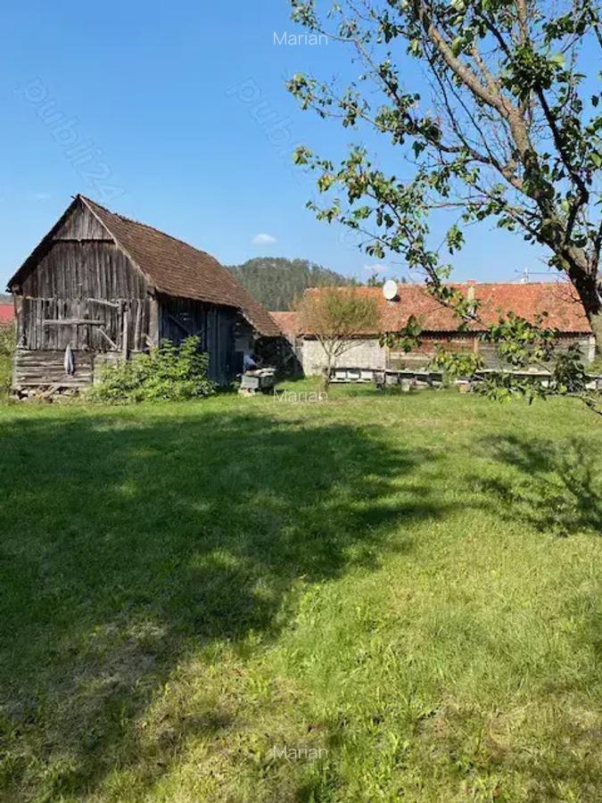 Vand casa de lemn cu gradina si teren de casa in mijlocul tarii, in sat Jimbor, jud.Brasov - 3