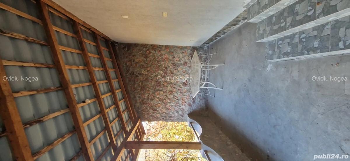 Cabana de vanzare, dealul viilor, Ineu - 9