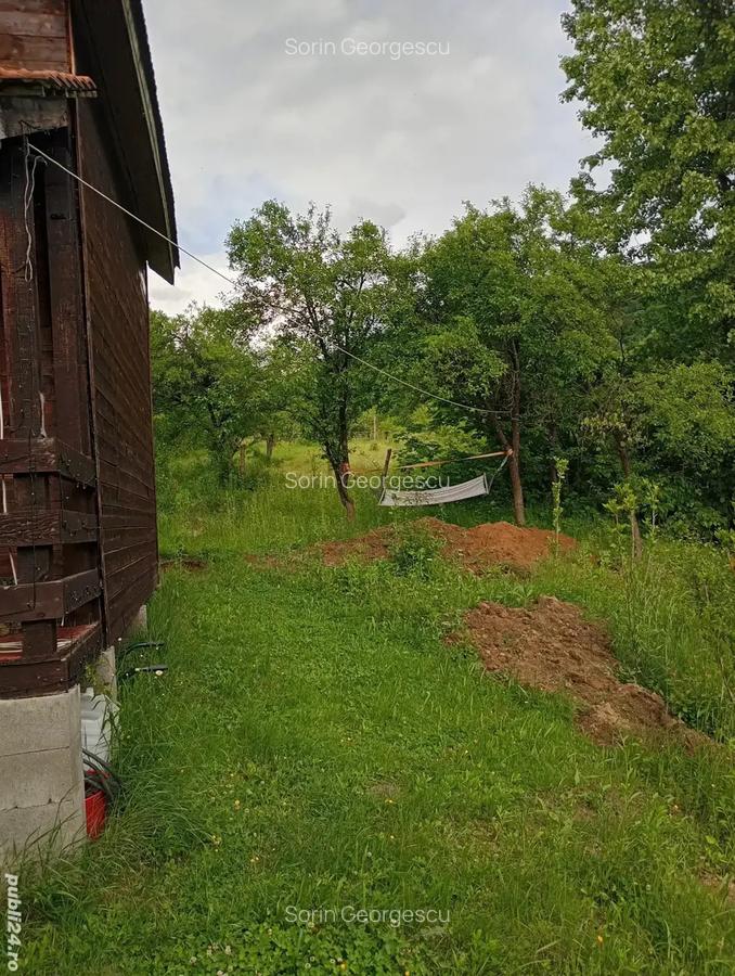 Vand teren si cabana - 9