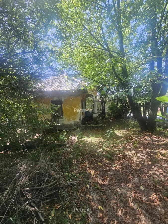 Teren de 1113 mp si casa batraneasca in comuna Mihaesti jude?ul Valcea - 7