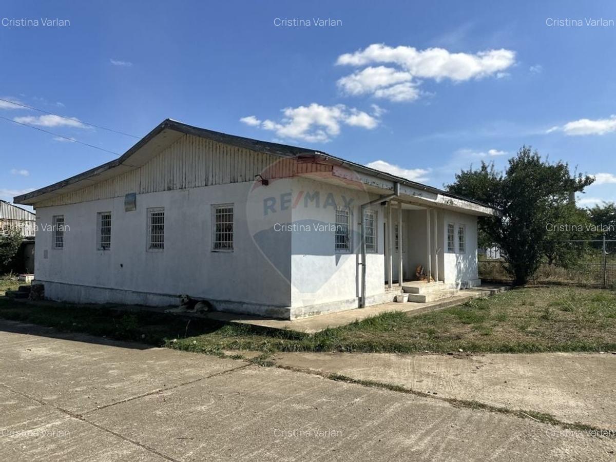 Spatiu industrial hale depozitare si productie - 9