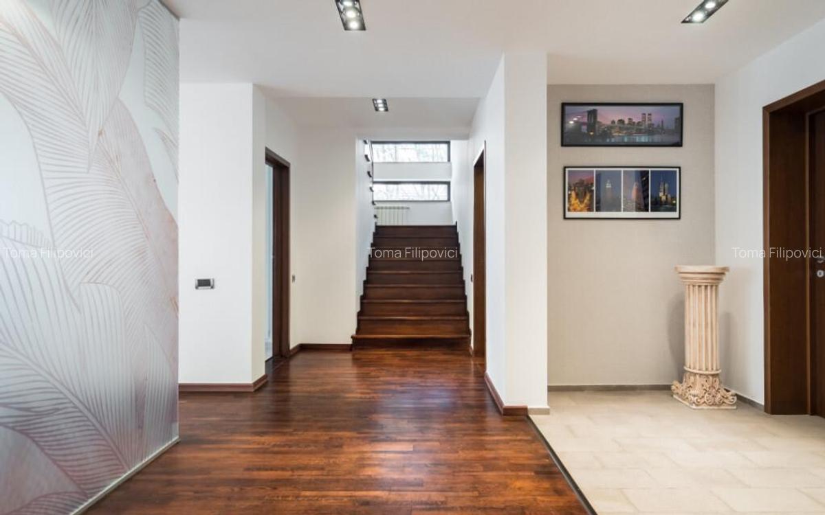 IANCU NICOLAE COMPLEX TRAIAN, VILA 350 MP, LOT 750 MP! - 14