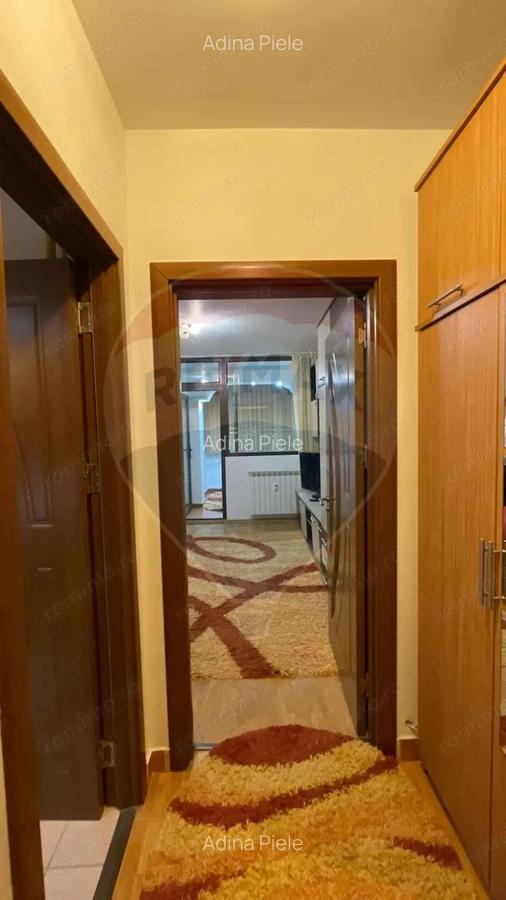Apartament cu 1 camera de inchiriat in zona Brazda lui Novac - 8