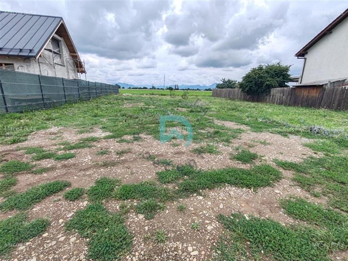 Teren intravilan de vanzare, 630 mp, Harman, Brasov, ideal investitie - 6