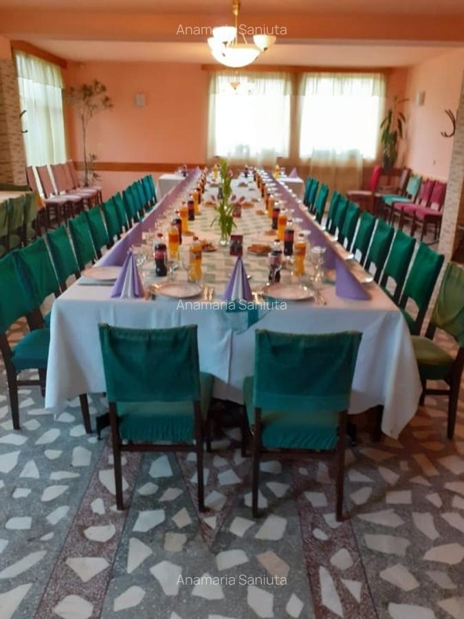 Proprietate specială, 280 mp în Dumbrăvița - 4