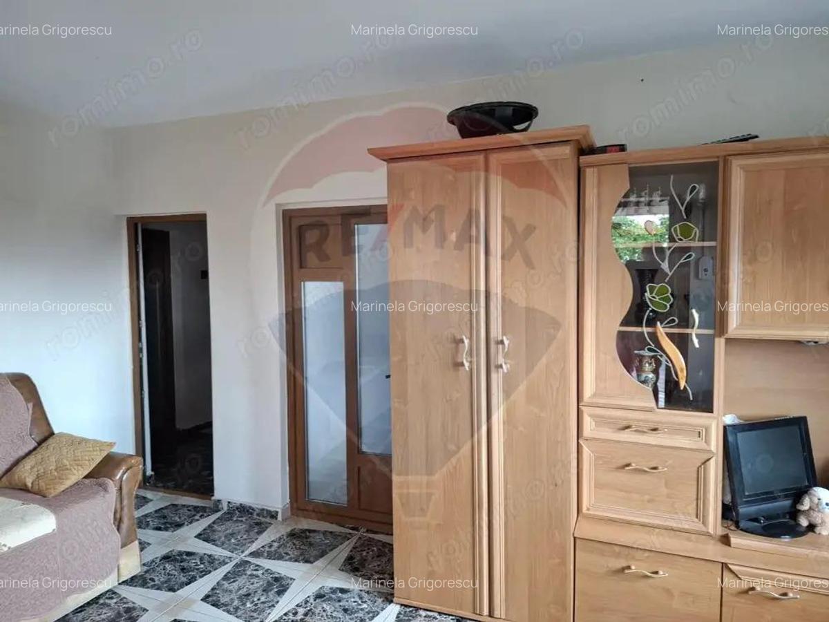 Casa / Vila cu 6 camere de vanzare in zona Calea Severinului - 11