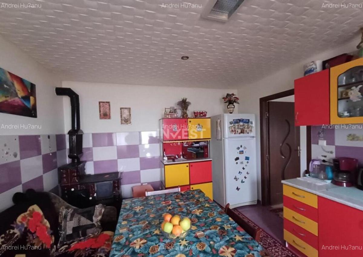 Casa 3 Camere, beci, magazie, mansarda 500 mp Teren - 5