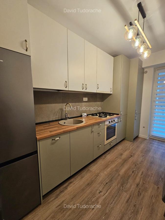 Studio modern Theodor Pallady - 2