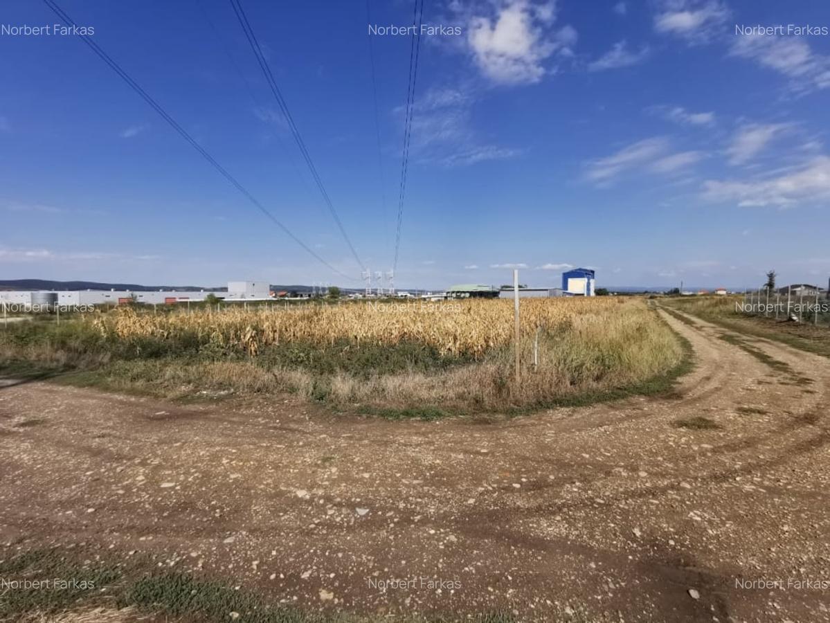 Teren intravilan de vanzare in Osorhei, 5.840 mp, cu front 3 fronturi stradale. - 1