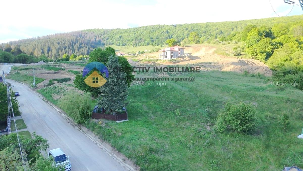 TEREN intravilan PIATRA NEAMT strada DRAGOS VODA (Valea Viei) - 5