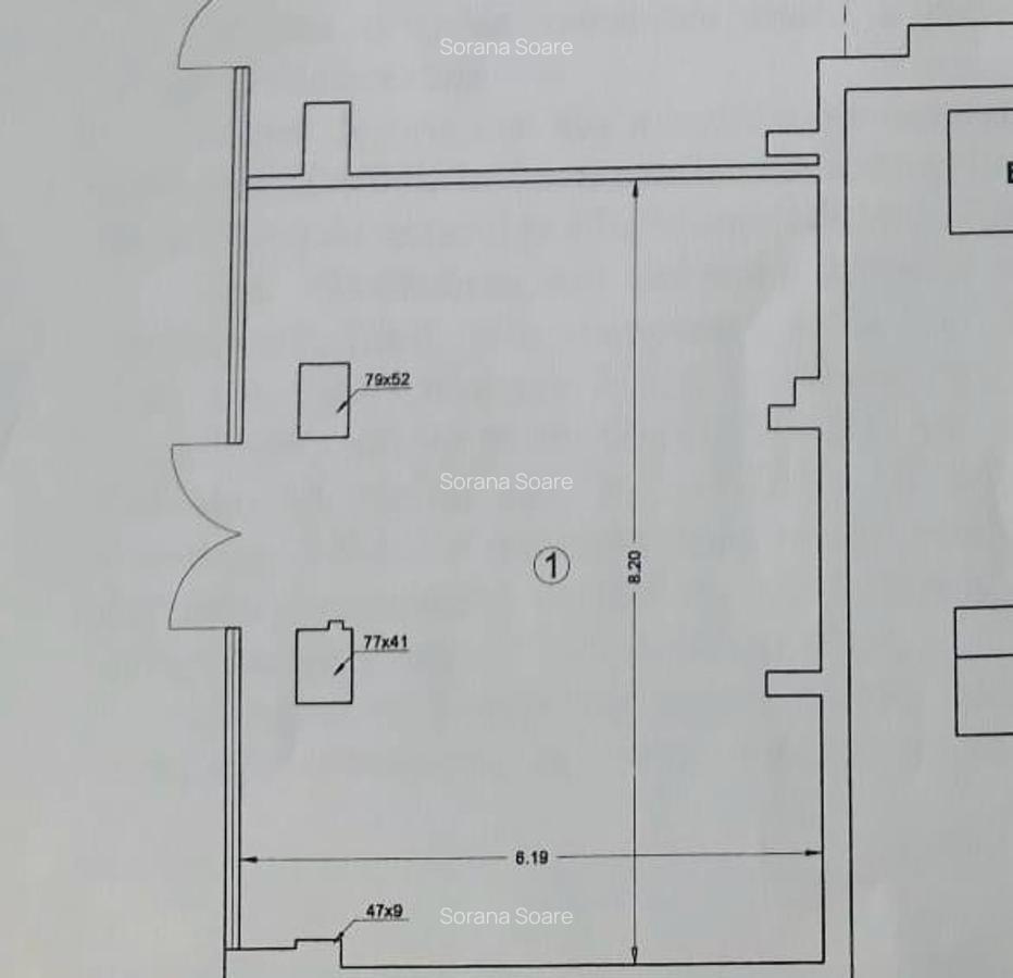 Spatiu comercial stradal, de inchiriat - 4