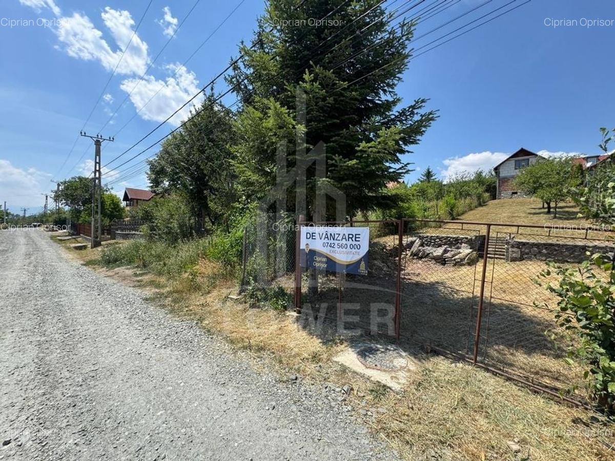 Casa cu 3 camere si teren | 111mp utili 450mp teren | Daia Noua | EXCLUSIVITATE - 1