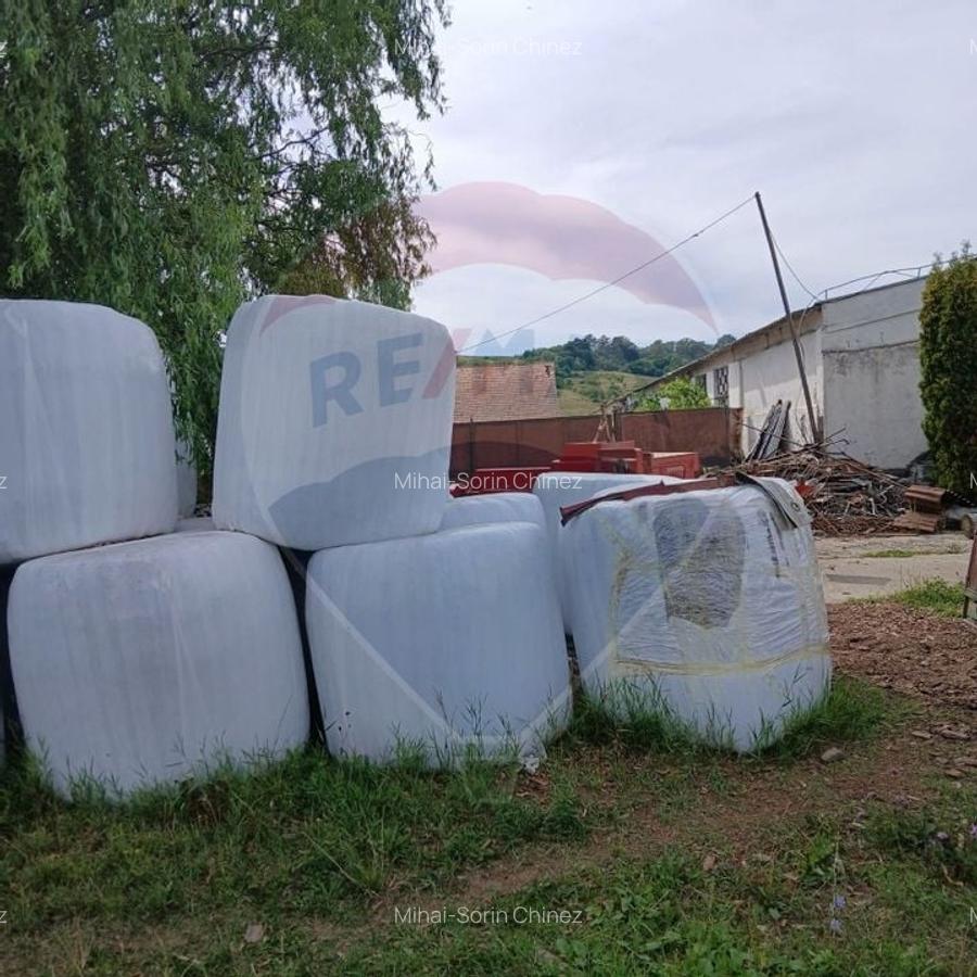 Proprietate speciala de 3,100 mp de vanzare in Maierus - 10