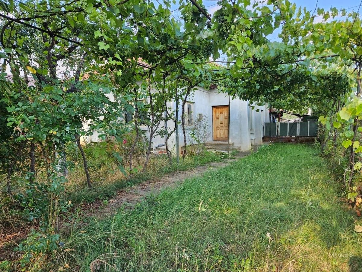 Vand casa cu teren in Urleta (valea Prahovei, la 7 km de Campina) - 3