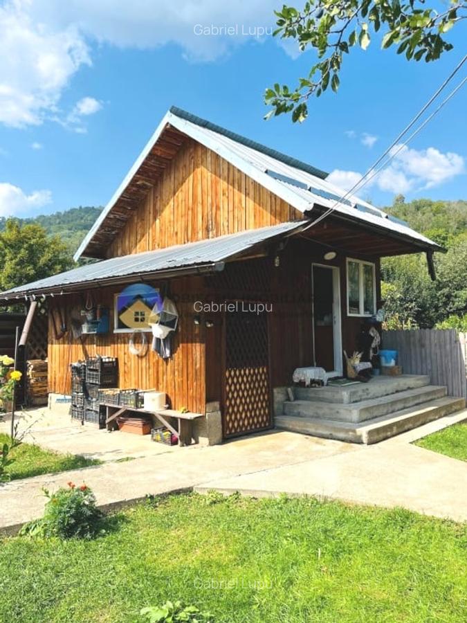 CASA + HALĂ  comuna ALEXANDRU cel BUN - 4