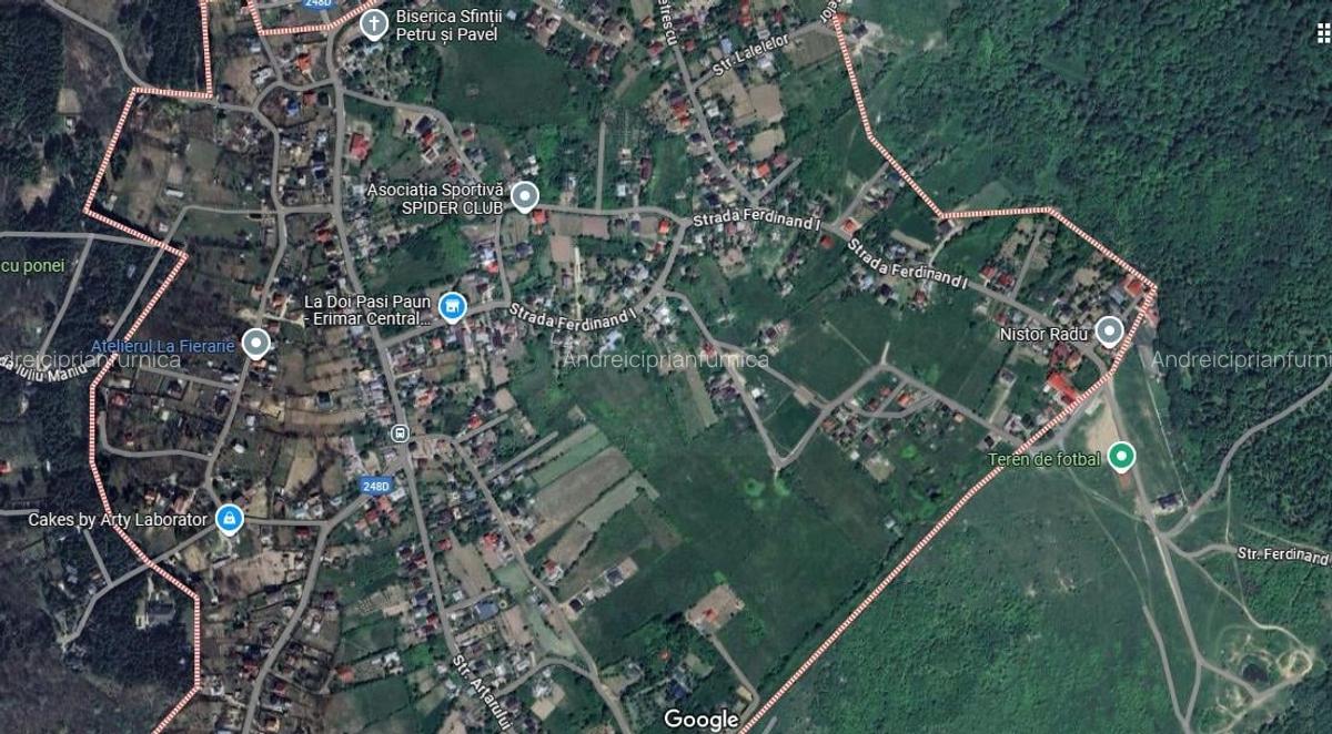 Teren 3500mp. Paun Bucium la asfalt cu toate utilitatile - 6