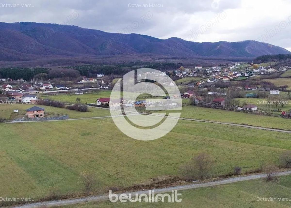 Teren intravilan in Tocile - 4354 m2 - 2 fronturi - oferta competitiva - 16