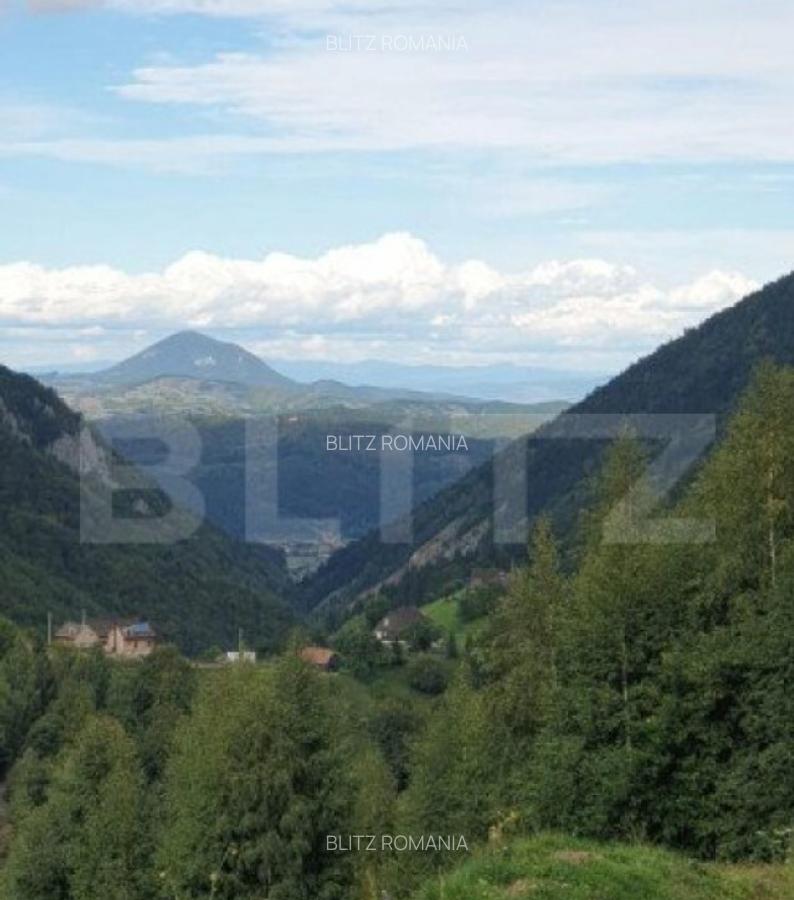 Teren 13.570 mp, Moieciu Pestera - 22