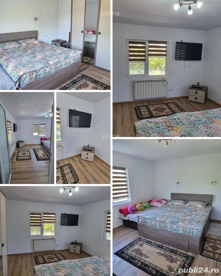 Schimb casa in loc. Ladesti, jud Valcea cu ap cu 2 camere in Rm Valcea - 2