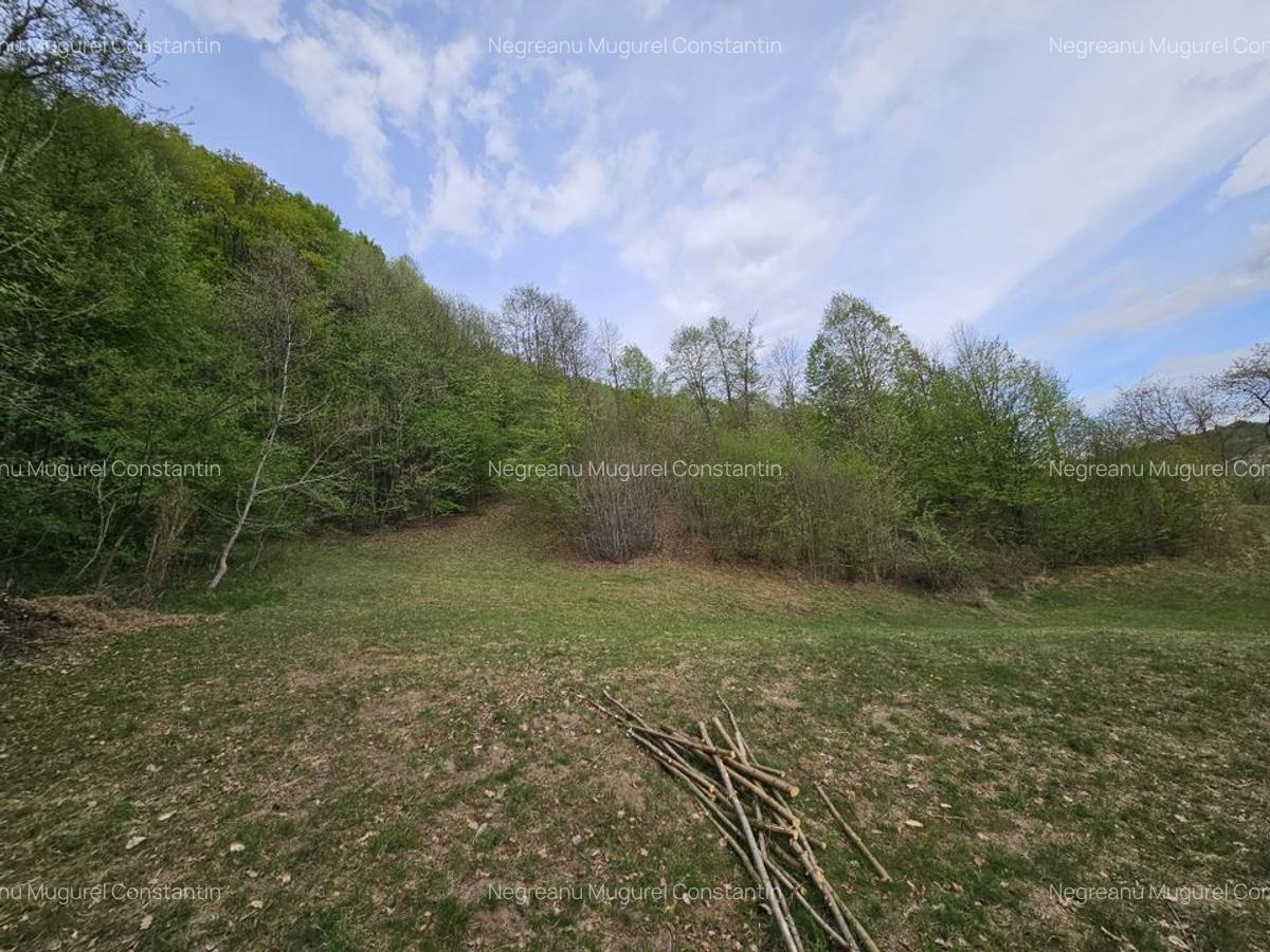 Teren intravilan 1454 mp la marginea padurii zona locuita de case! - 8