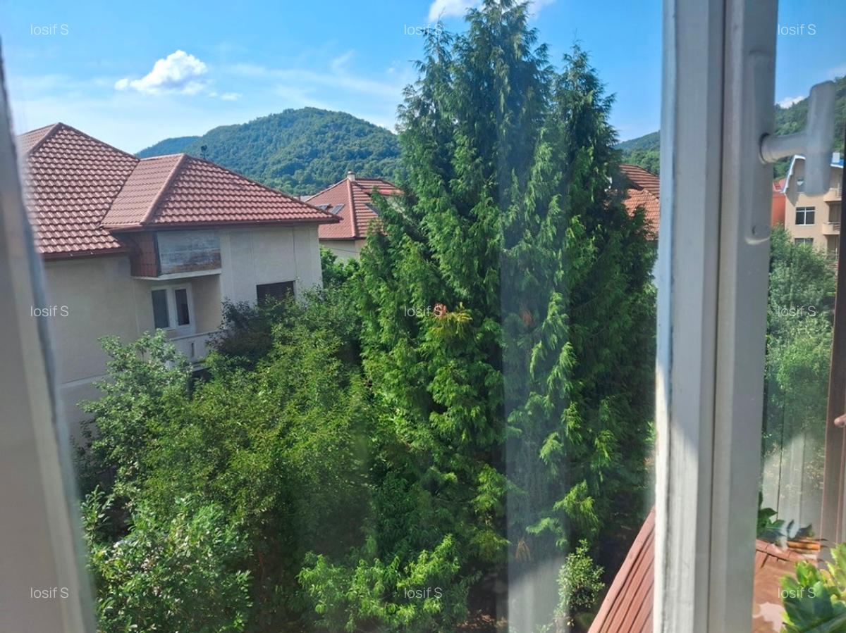 Casa cu 3 apartamente - locatie unica in Baia Mare - 9