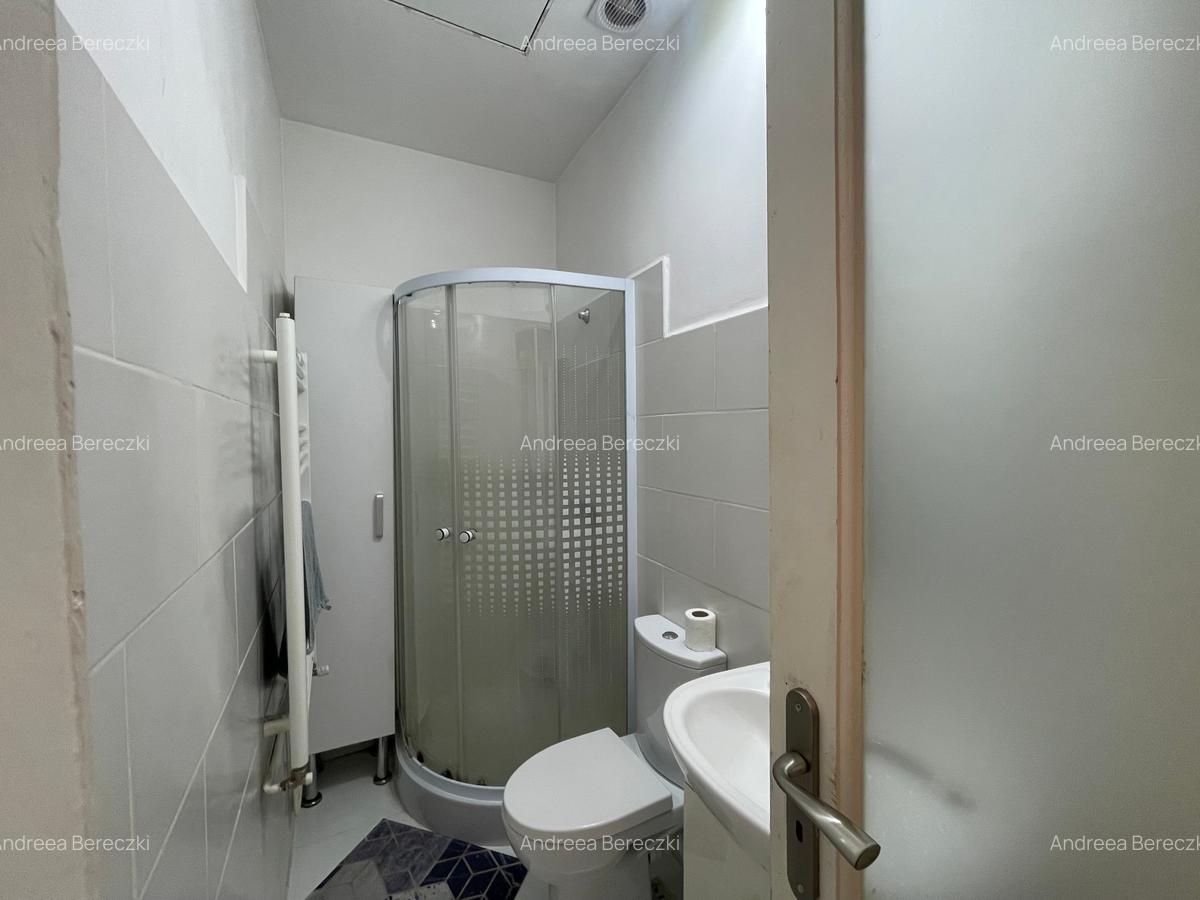 Apartament spectaculos de 4 camere într-o vilă cu farmec istoric, Victoriei - 19