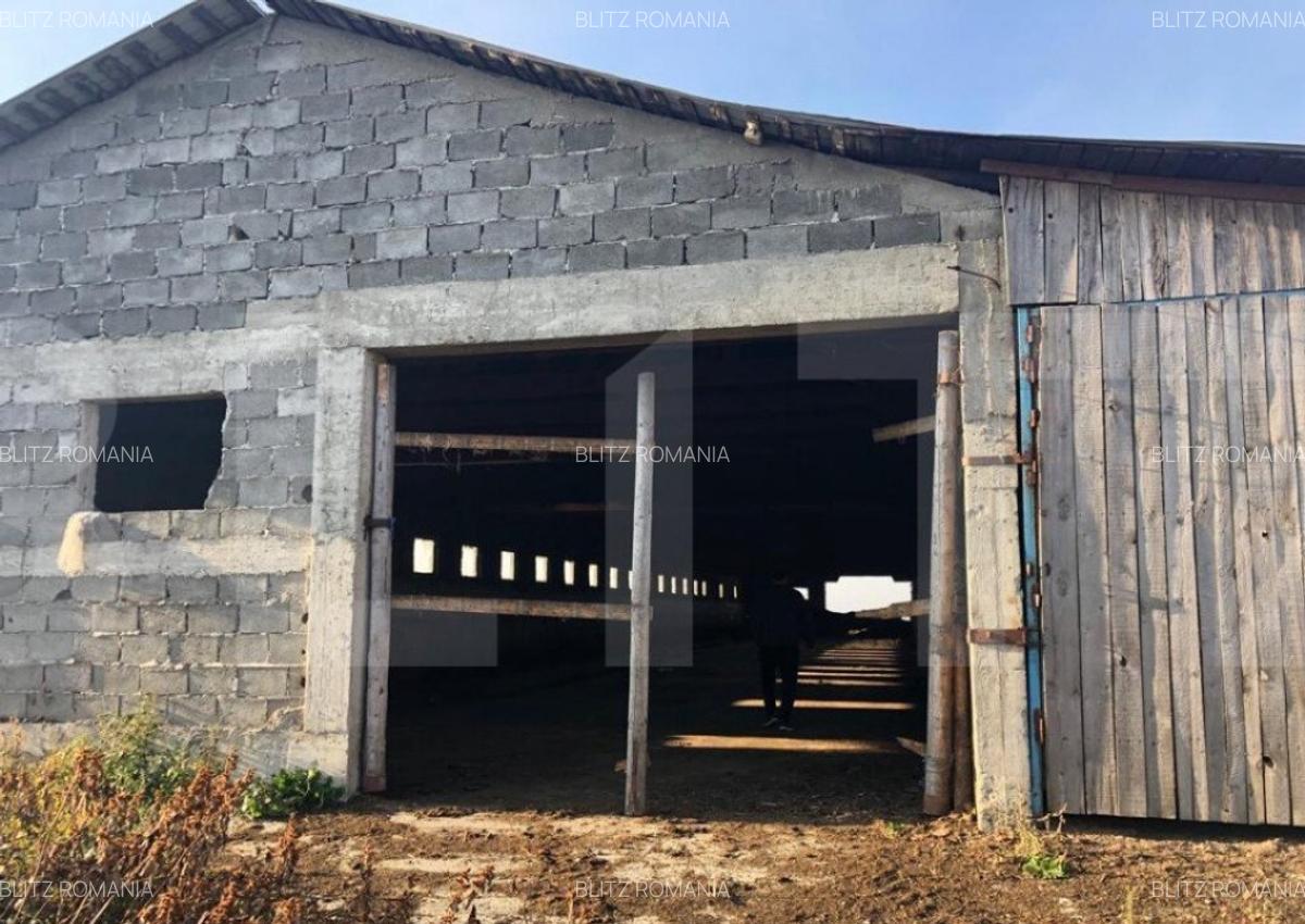 Ferma de vanzare in jud. Covasna, suprafata teren 4824 mp - 2 Ferma de vanzare in jud. Covasna, suprafata teren 4824 mp - 2