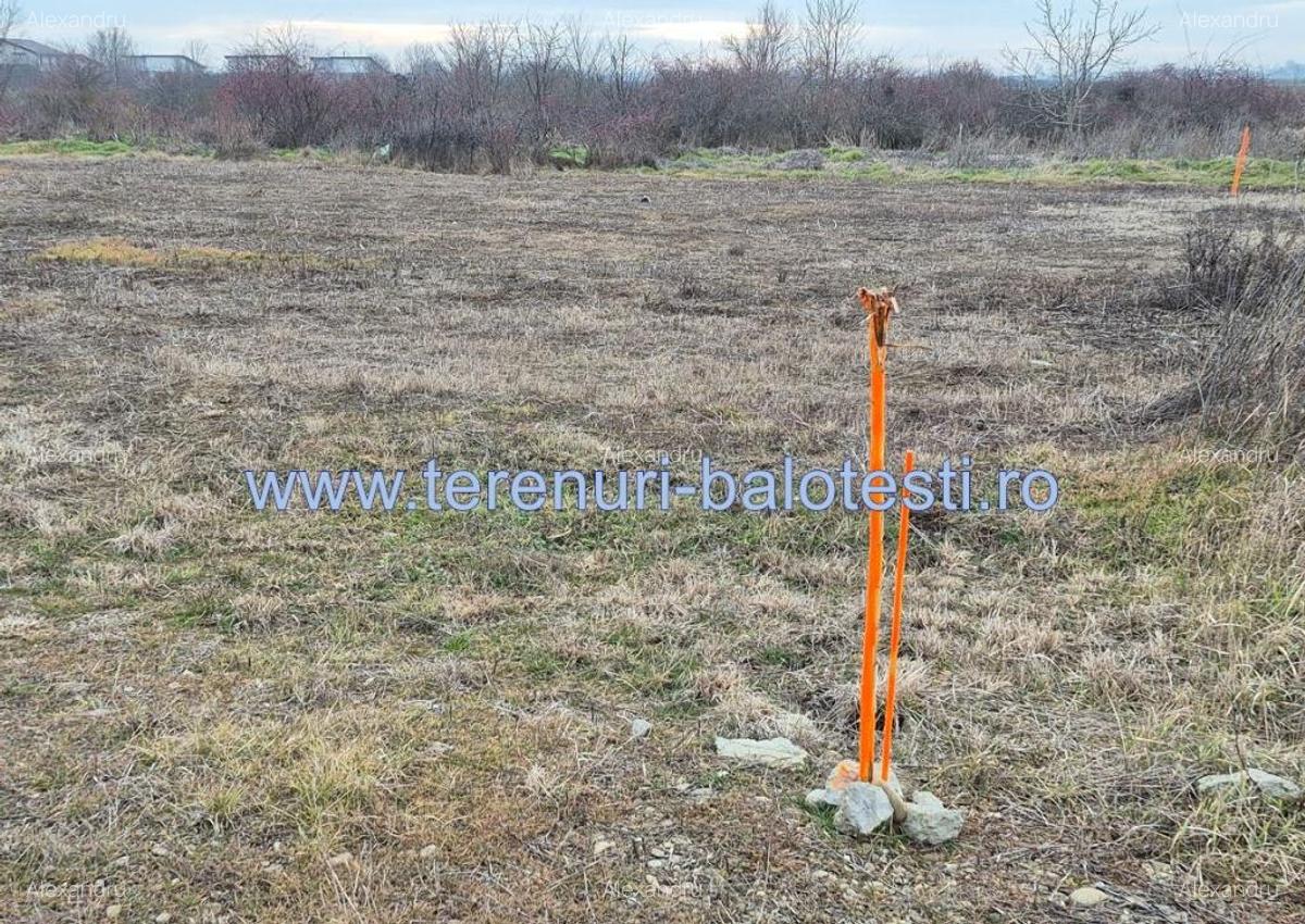Teren Balotesti, apropiere Dn1 si sens giratoriu, 650mp - 2