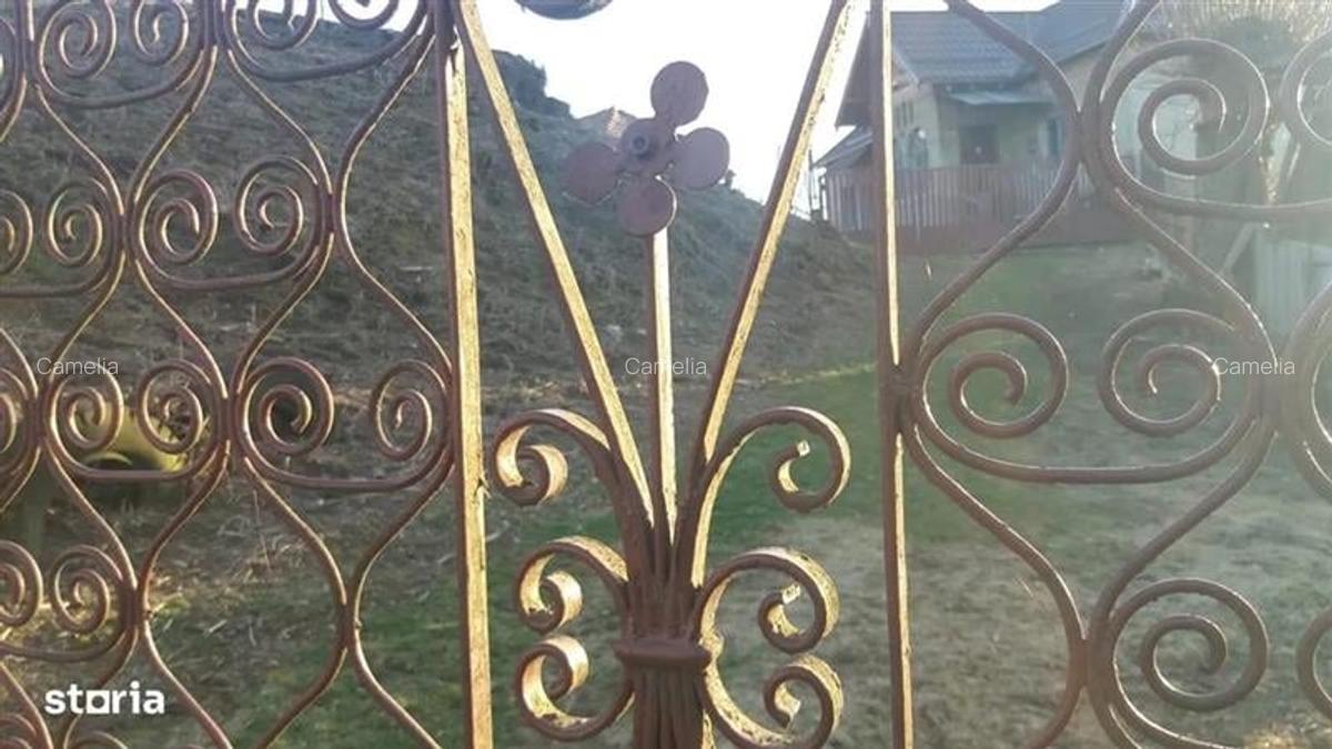 Casă cu 3500 mp Teren, Schitu-Golești, Argeș! - 14
