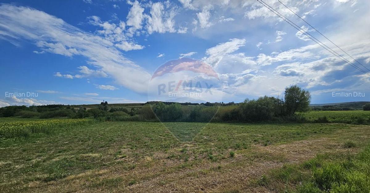 Teren extravilan 12000 mp- Padureni-?endriceni, Boto?ani - 3