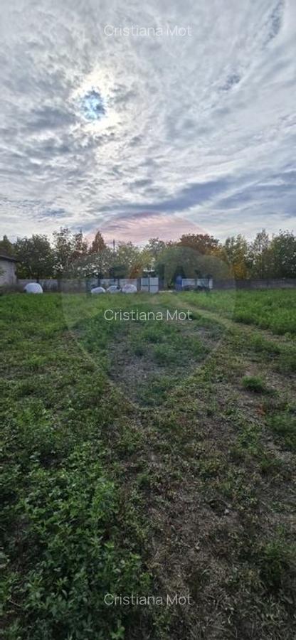 Teren si casa cu teren generos in Socodor - 28 Teren si casa cu teren generos in Socodor - 28